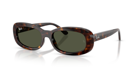 RB2221 - 902/31 - Ray-Ban