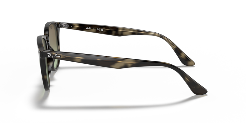 RB4259 - 731/E8 - Ray-Ban