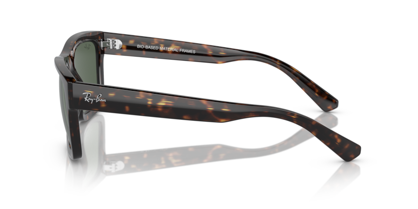 Warren - RB4396 - 135971 - Ray-Ban