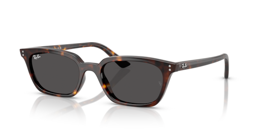 Zaya - RB4456 - 135987 - Ray-Ban