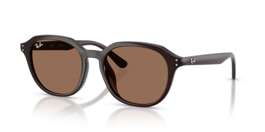 RB4459D - 623173 - Ray-Ban