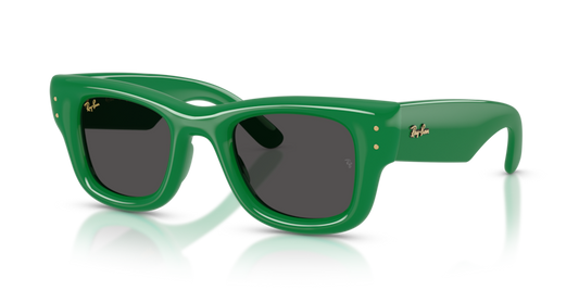 Wayfarer Puffer - RB4940 - 683487 - Ray-Ban