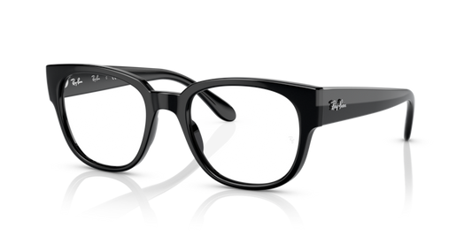 7210 - 2000 - Ray Ban