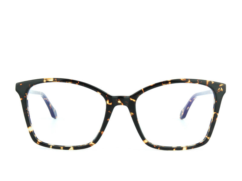 GG166 - TS1 - I Leggeri