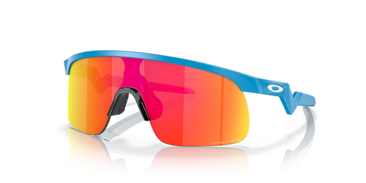 Resistor - OJ9010 - 901005 - Oakley