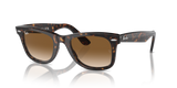 Wayfarer - RB2140 - 902/51 - Ray-Ban