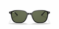 Leonard - RB2193 - 901/31 - Ray-Ban