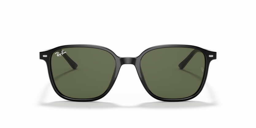 Leonard - RB2193 - 901/31 - Ray-Ban