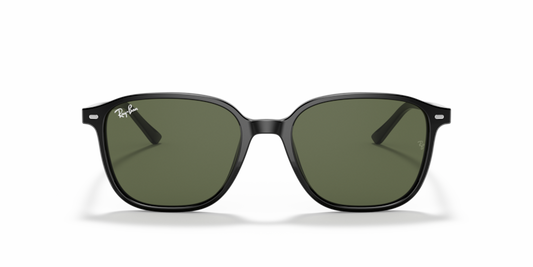 Leonard - RB2193 - 901/31 - Ray-Ban