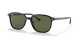 Leonard - RB2193 - 901/31 - Ray-Ban