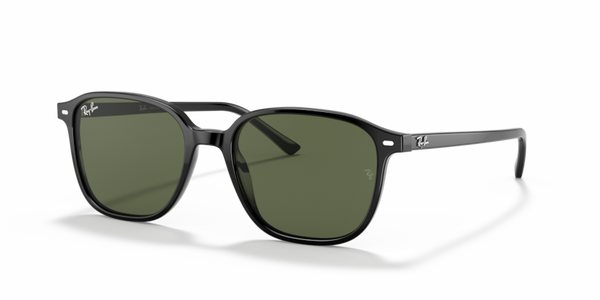 Leonard - RB2193 - 901/31 - Ray-Ban