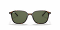 Leonard - RB2193 - 902/31 - Ray-Ban