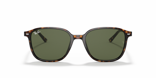 Leonard - RB2193 - 902/31 - Ray-Ban