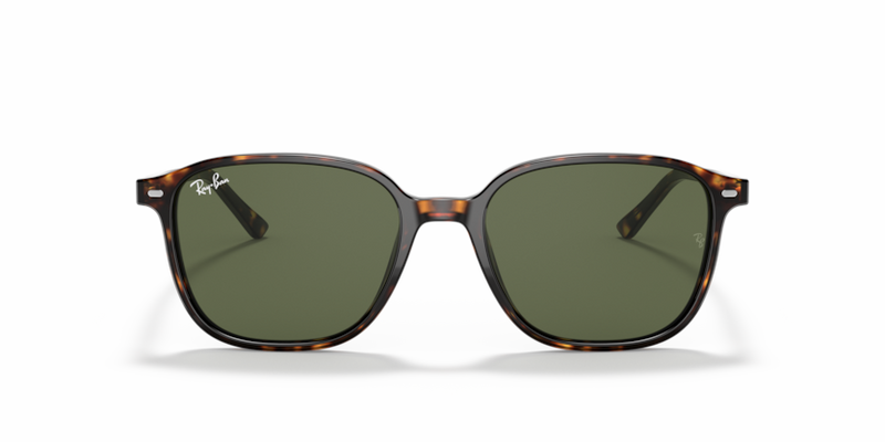 Leonard - RB2193 - 902/31 - Ray-Ban