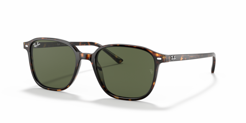 Leonard - RB2193 - 902/31 - Ray-Ban