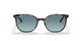 Elliot - RB2197 - 13563M - Ray-Ban