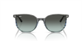 Elliot - RB2197 - 1391GK - Ray-Ban