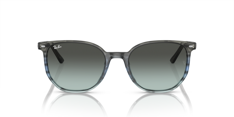 Elliot - RB2197 - 1391GK - Ray-Ban