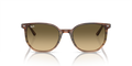 Elliot - RB2197 - 13920A - Ray-Ban