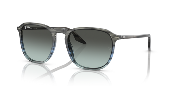 RB2203 - 1391GK - Ray-Ban