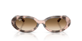 RB2223 - 144951 - Ray-Ban