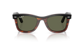 Wayfarer - RB2240 - 144058 - Ray-Ban