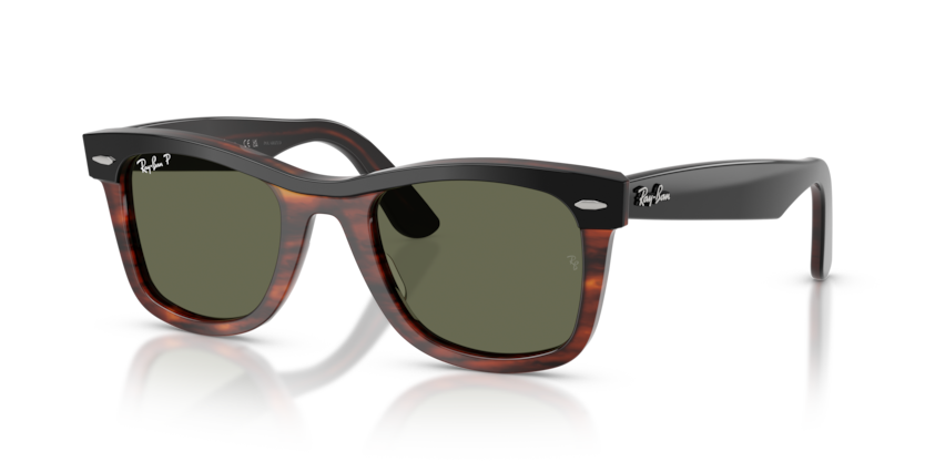Wayfarer - RB2240 - 144058 - Ray-Ban