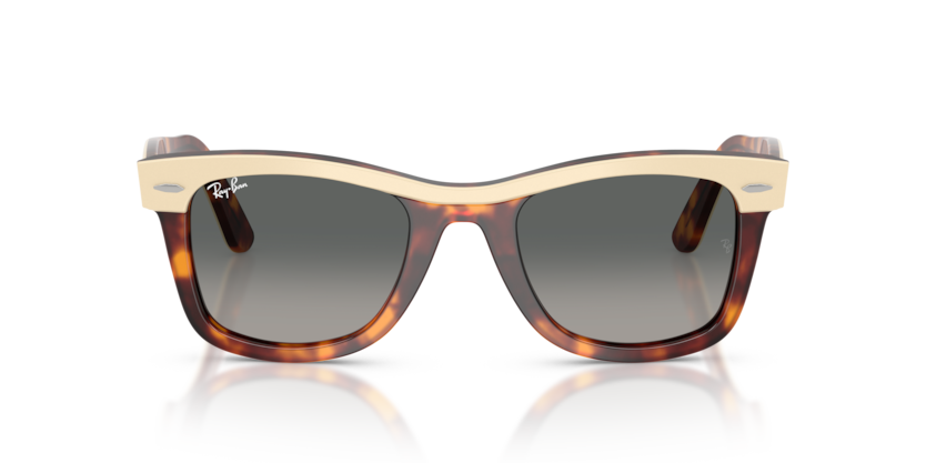 Wayfarer - RB2240 - 144371 - Ray-Ban