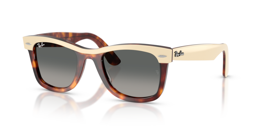 Wayfarer - RB2240 - 144371 - Ray-Ban