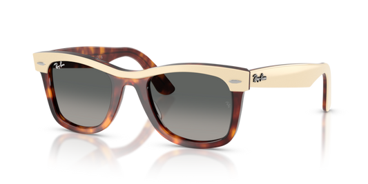 Wayfarer - RB2240 - 144371 - Ray-Ban