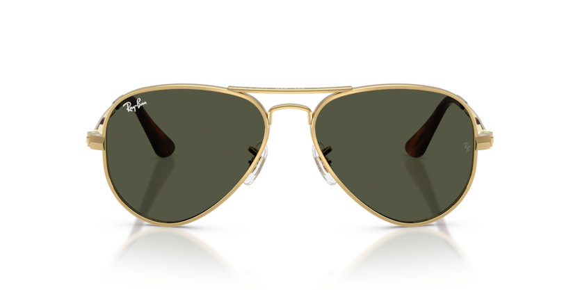 Aviator Max - RB3925 - 001/31 - Ray-Ban