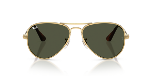 Aviator Max - RB3925 - 001/31 - Ray-Ban