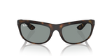 Balorama - RB4089 - 894/56 - Ray-Ban