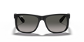 Justin - RB4165 - 601/8G - Ray-Ban 