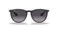 Erika - RB4171 - 622/8G - Ray-Ban