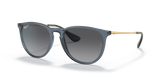 Erika - RB4171 - 6592T3 - Ray-Ban