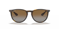Erika - RB4171 - 710/T5 - Ray-Ban