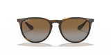 Erika - RB4171 - 710/T5 - Ray-Ban