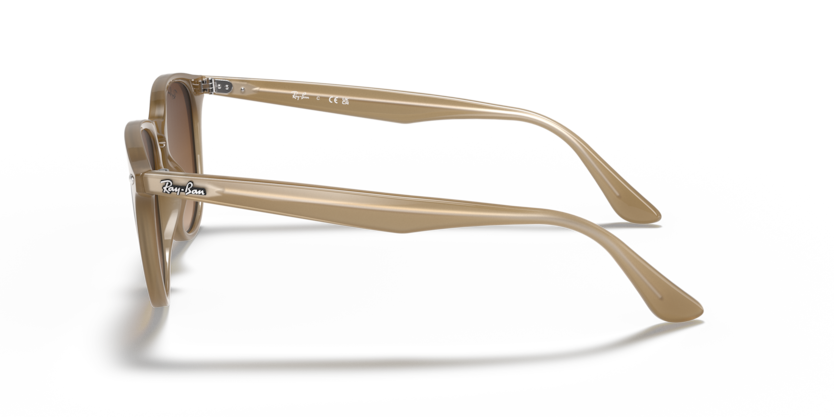 RB4259 - 616613 - Ray-Ban