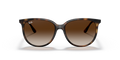 RB4378 - 710/13 - Ray-Ban