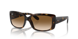 RB4389 - 710/51 - Ray-Ban