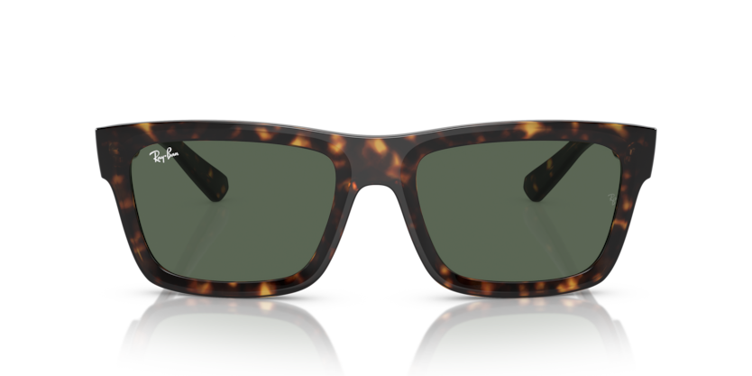 Warren - RB4396 - 135971 - Ray-Ban