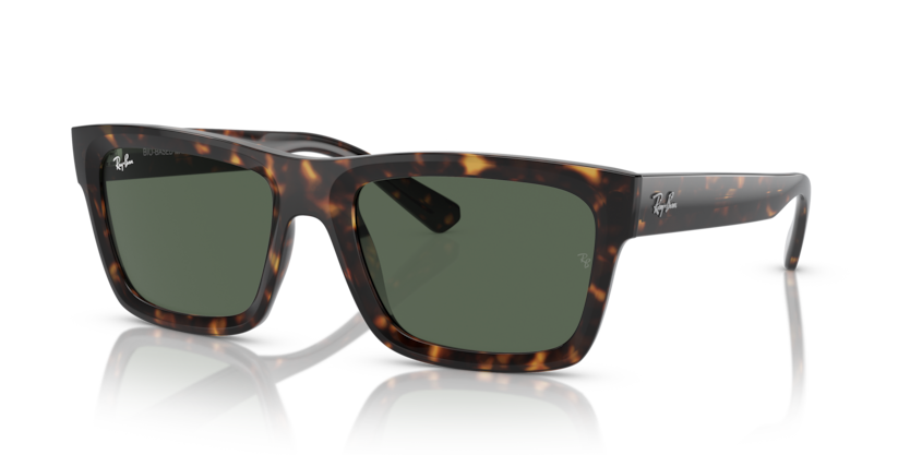 Warren - RB4396 - 135971 - Ray-Ban