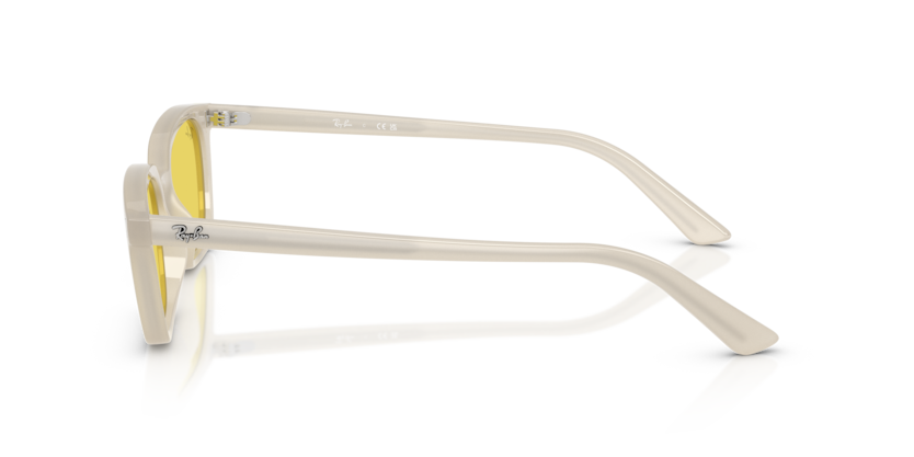 Zaya - RB4456 - 68086D - Ray-Ban