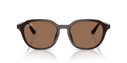 RB4459D - 623173 - Ray-Ban