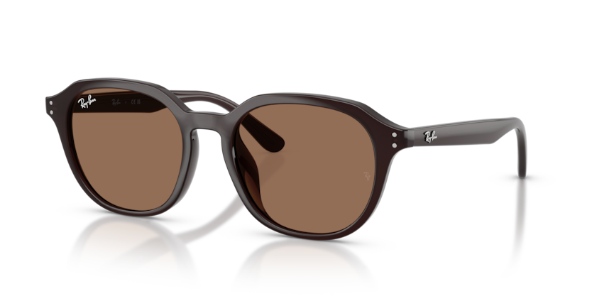 RB4459D - 623173 - Ray-Ban