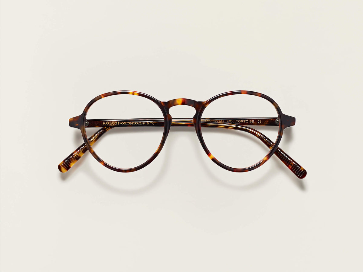 Bluma - Tortoise - 47 - Moscot 