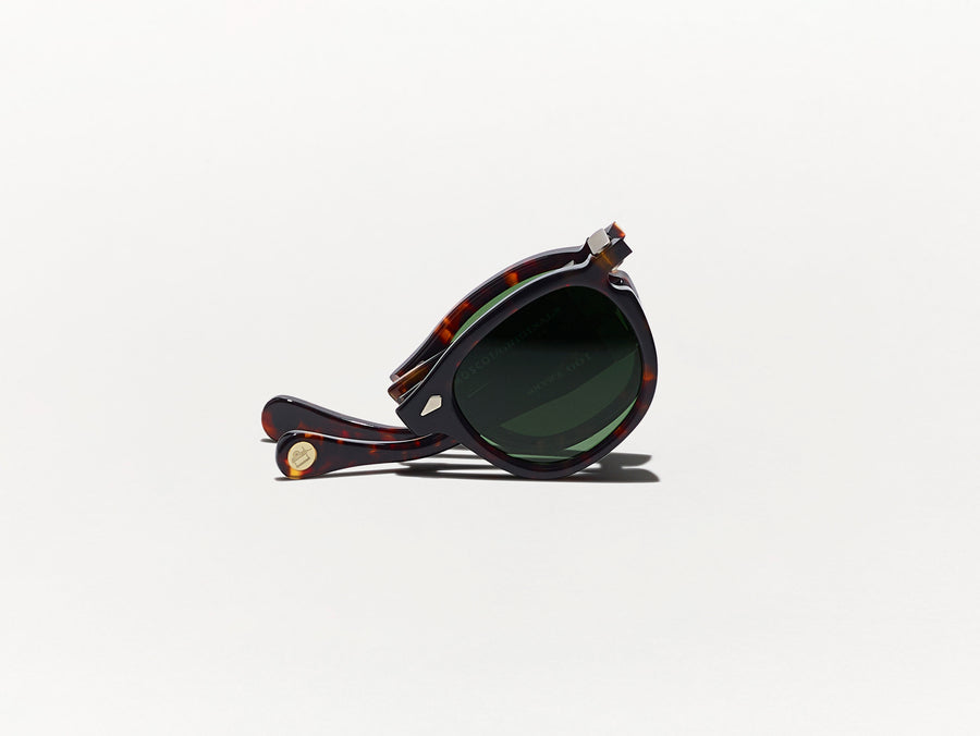 Lemtosh Fold - Sun Tortoise - 46 - Moscot